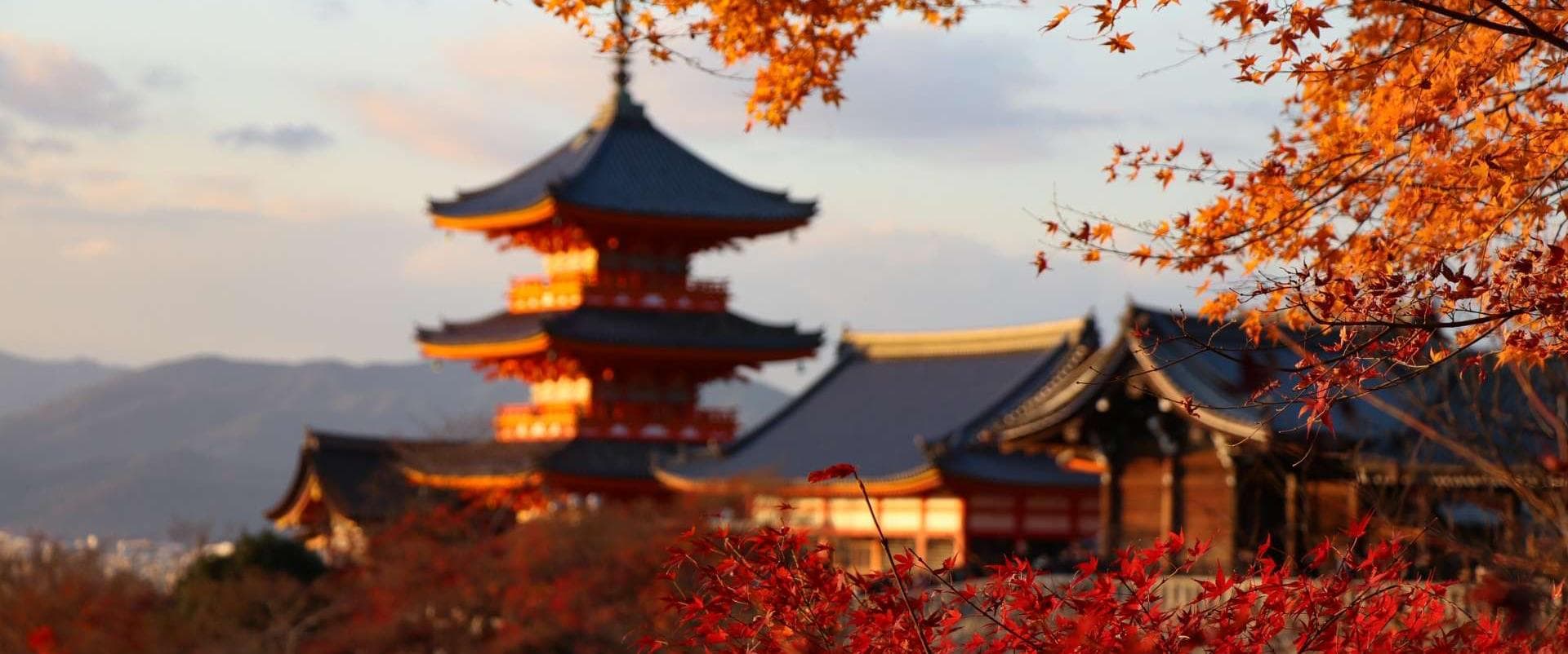 Japonia z OffCourse Trips!